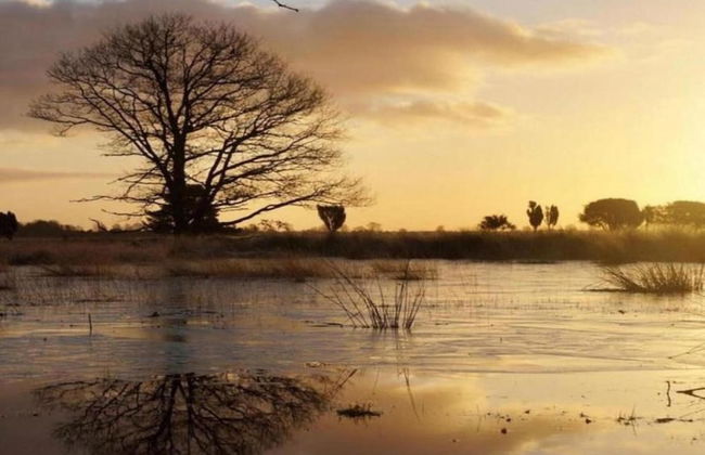 Bungalow With Fireplace, not far From Assen - Photo 26