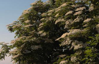 ŻAR - Dworek w Żarnowcu - Foto 23