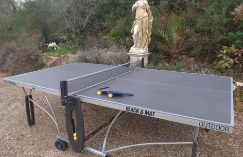 French Riviera Gaudissard - Foto 12