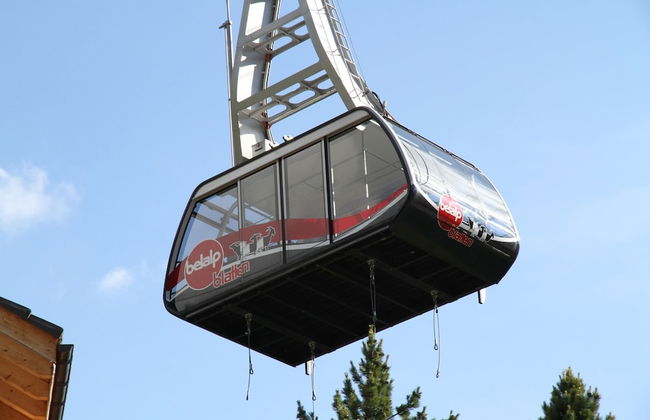 Glacier Views & Ski Trails - Photo 22