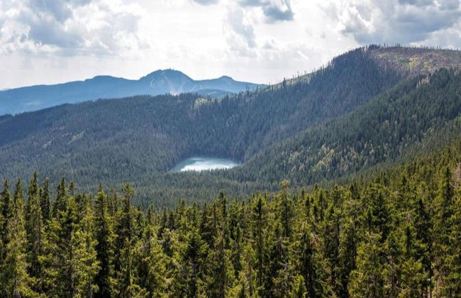 Quaint Holiday Home in Železná Ruda near Ski Area - Foto 44