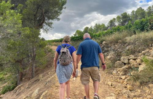 Les volets lavande - Photo 21