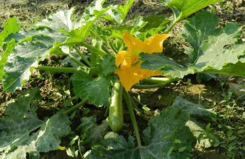 Agriturismo Santa Lucia - Foto 71