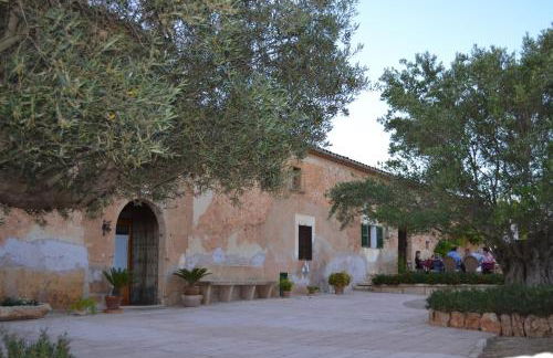 Agroturismo Finca Son Sala - Photo 33