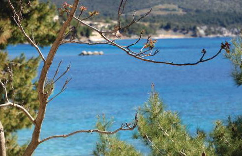 Pet Friendly Home In Orebic - Photo 51