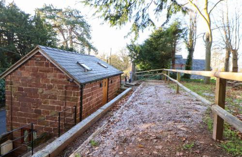 The Apple Store - Photo 23