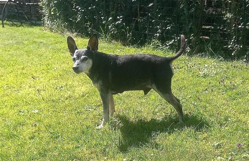 Ferienwohnung Engelbert Hipp - Foto 25