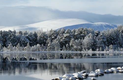 The Bakehouse - by Where Stags Roar - Foto 20