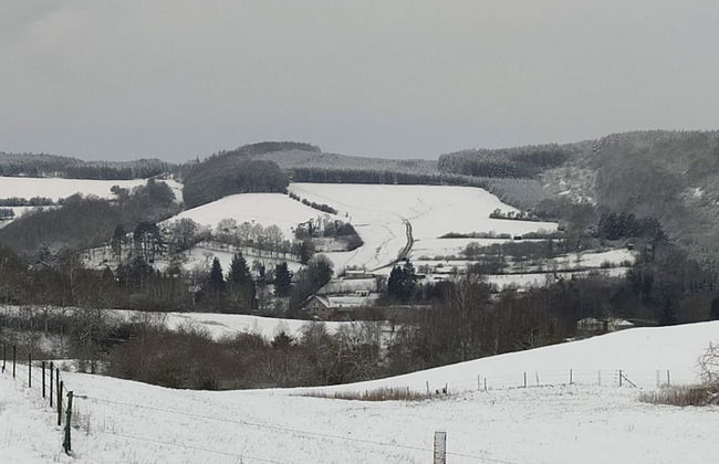 New House on the Edge of a Large Forest, Large Garden,very Quiet, Beautiful Area - Foto 37