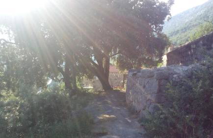 Cottage Melita the Apartment for Animal Lovers - Foto 52