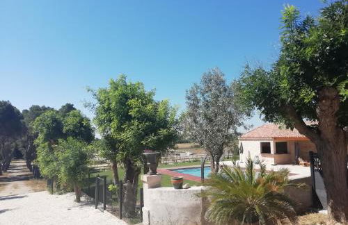 Domaine de la Vidalle - Foto 62