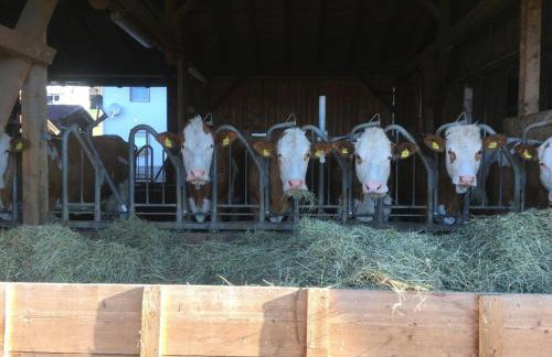 Biohof Weiderer - Foto 21