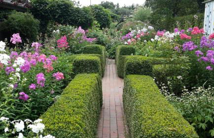 Gartentraum - Foto 28