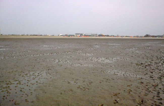 Holiday Home Weisse Robbe - Foto 20