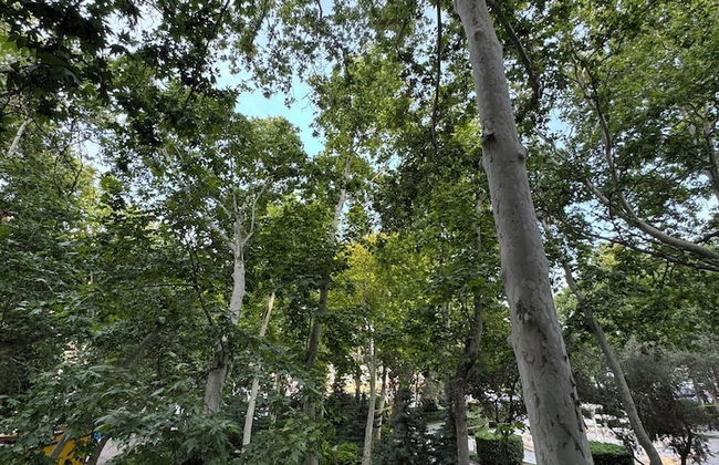 Downtown Apartments Baku - Foto 17