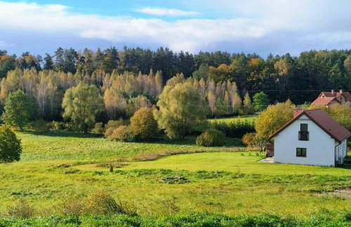 Ptasi Zakątek - Foto 45