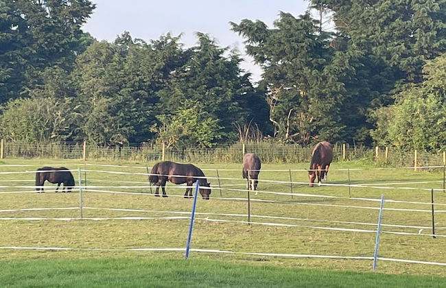 Equestrian Retreat - Sleeps 6 & Bbq - Foto 12