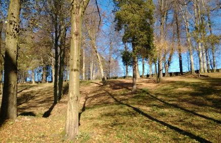 Pałac Rząsiny - Foto 15