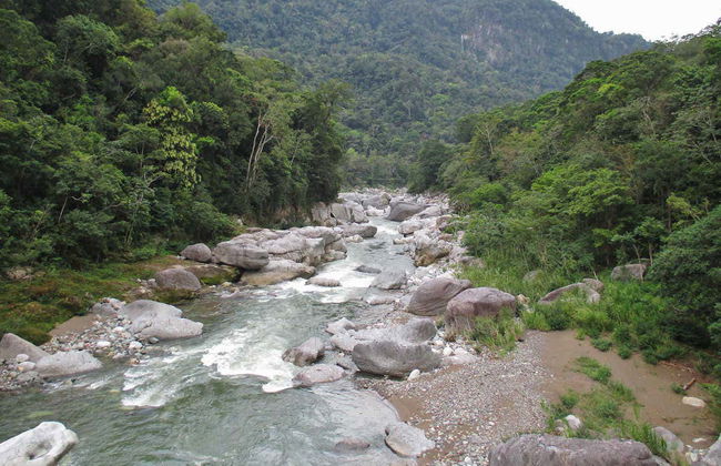 Rafting on Cangrejal River - Photo 5