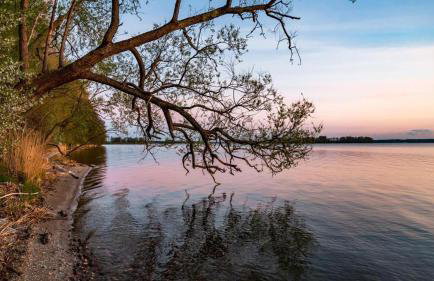 Giżycko-Przerwanki Domki Widok na Mazury - Foto 9