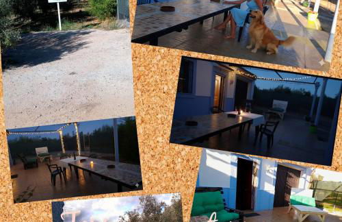 Casa Rural El Olivar Victoria - Foto 3