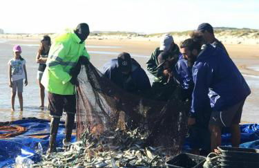 Beach & City - Trafaria - Photo 30