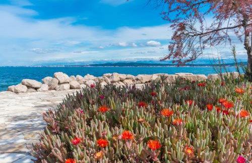 Villa Banjka - Foto 36