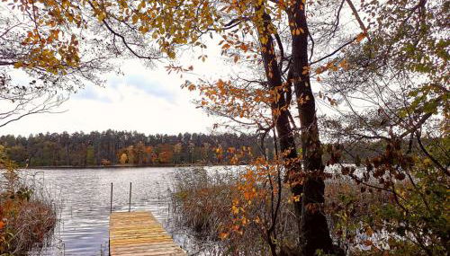 Ferienhaus Seensucht - Natur am See & im Wald mit Kamin - Foto 3