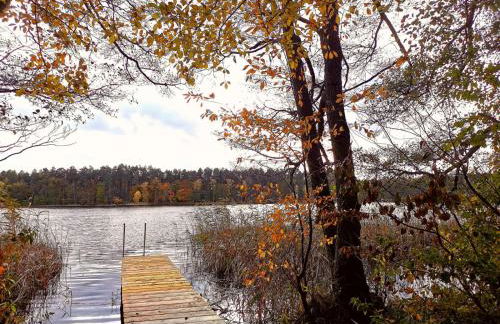 Ferienhaus Seensucht - Natur am See & im Wald mit Kamin - Foto 3