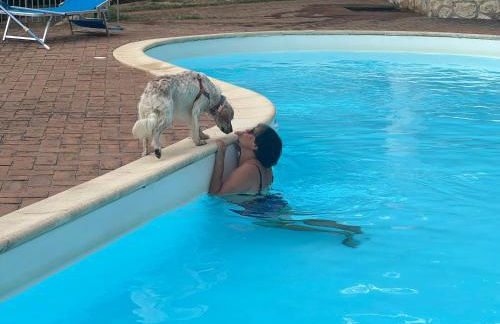 SetterHouseAgriHotel - Photo 10