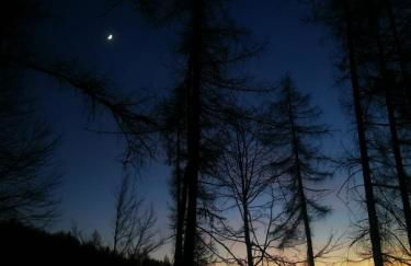 Casa Vacanze TraMonti da M&M - Casargo - Foto 54