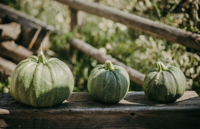 Maso nel bosco - Photo 60