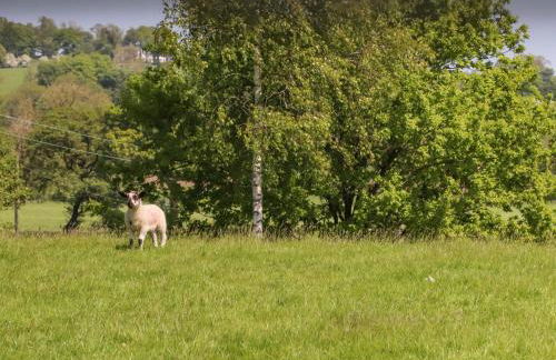 Ribble View - Foto 27