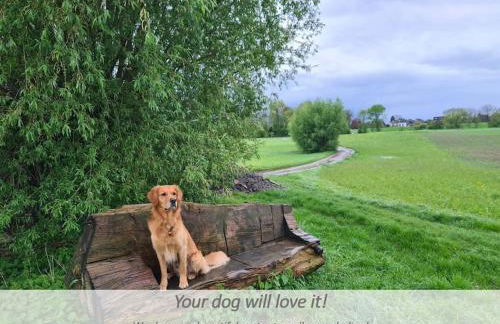 Souterrain-Apartment mit privater Sauna (inkl.) - Foto 33