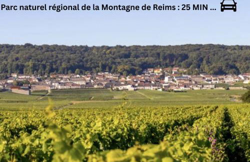 CK Suite & Spa Reims - Foto 36