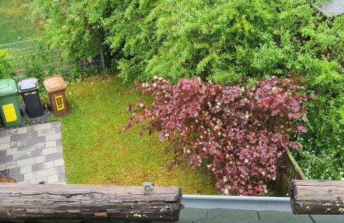 Rosenzauber Gipfelstürmer - Foto 20