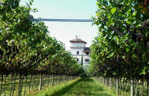 Residence La Colombera - Foto 53