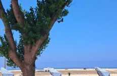 Praceta Madalena - Foto 23