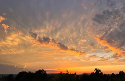 Ferienwohnungen Schwarzer in Seehausen am Staffelsee - Foto 64