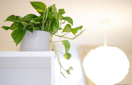 A CASA DI PATTY - Foto 38