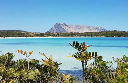 Amazing house 10 min by car from the beach - Photo 19