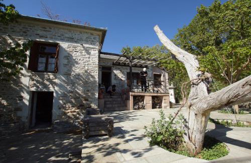 Home Sweet Home - Foto 46