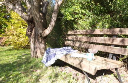 2 Ferienhäuser im Doppelpack für Naturliebhaber, strandnah, ruhig, mit großen Gärten - Foto 45