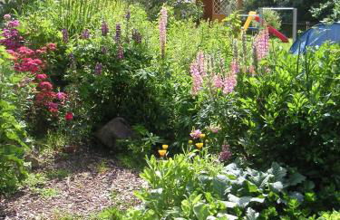 Natur-Aktiv-Hof Thiem - Foto 13