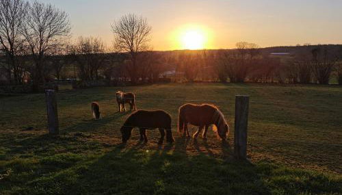 Gite Du Colombier - Foto 3