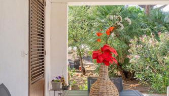 Villa a due passi dal mare "Cicogne Apartment" con BBQ e parcheggio gratuito a due passi dall'Aeroporto - Foto 5