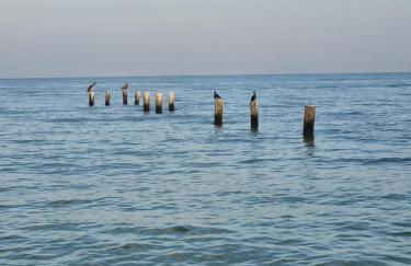 Lovely 2-Bedroom plus Den Condo in Greenlinks Resort - Photo 34