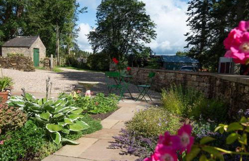 Little Birks - Foto 17