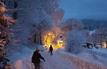 L'Amphithéâtre des Volcans - Vue Puy de Dôme - Foto 28