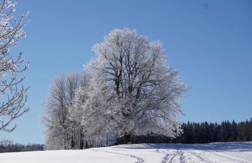 Wanderlust - Thüringer Wald, Rennsteig, Finsterbergen - Photo 18
